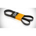 CONTINENTAL MULTI-GROOVE BELT-NISSAN