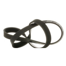 ROADMAX MULTI-GROOVE BELT-AUDI A6 [2]