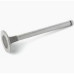 ACCU AUTO EXHAUST VALVE
