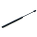 AUDI A3 MK2 03-13 TAILGATE SHOCKS