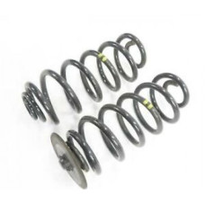 BOB X5 07- REAR STANDARD SPRINGS
