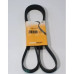 CONTINENTAL MULTI-GROOVE BELT-AUDI A4 [1