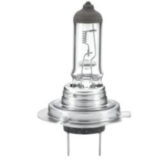 H7 24V GLOBE