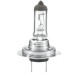 H7 24V GLOBE