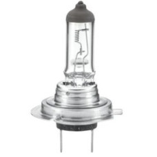 H7 55W 12V GLOBE