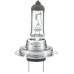 H7 55W 12V GLOBE