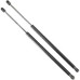 JEEP COMPASS 12-18 TAIL GATE SHOCK L=R