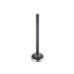FPR EXHAUST VALVES- FIAT 160A1.045 FPR EXHAUST VALVES- FIAT 160A1.045