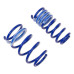 OPEL ASTRA 97 FRONT COIL SPRINGS SET