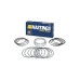2C5144/0-0 HASTING PISTON RINGS