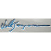 GEL BADGE-VW SCRIPT BLUE