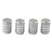 VALVE CAP SET 4PC SILVER