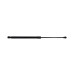 VW POLO 6- TAIL GATE GAS SHOCKS