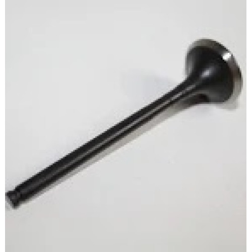 79561AA ACCUAUTO VALVES INLET-FORD