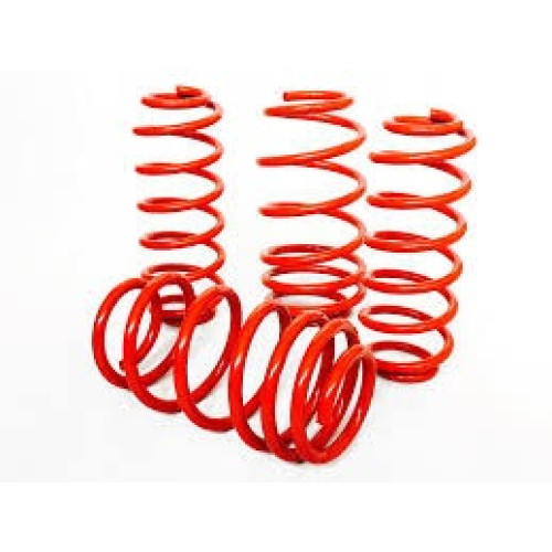 TOYOTA TAZZ 00- 40MM DROP SPRINGS